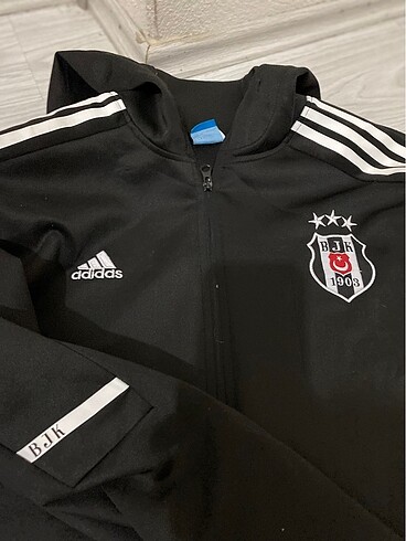 Beşiktaş polar