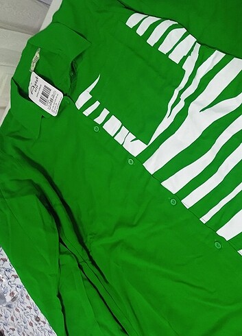 Bayan tunik