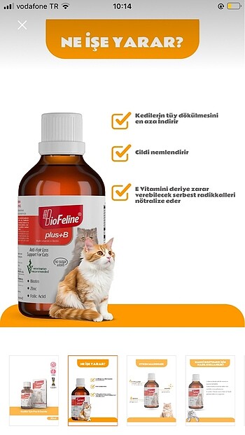  Beden BioFeline Kedi Damlası