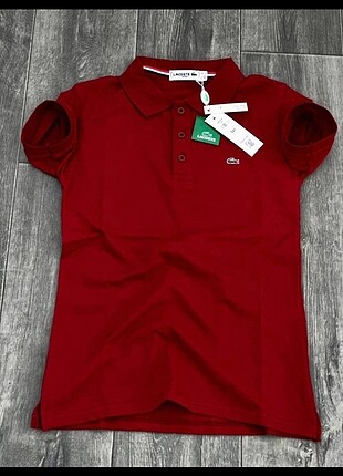 Lacoste polo yaka