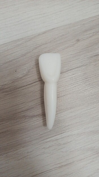 Diğer Sabundan diş sağ üst lateral