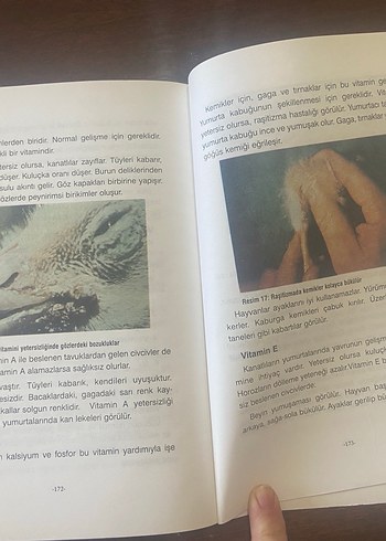 Kümes Hayvancılığı Kitabı - 2001 - Görsel 6