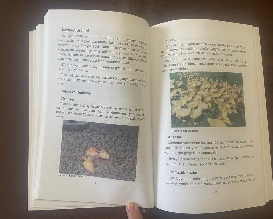 Kümes Hayvancılığı Kitabı - 2001 - Görsel 5