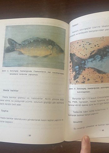 Yayçep Balık Yetiştiriciliği ve İçsu Araçları Kitabı - Görsel 5