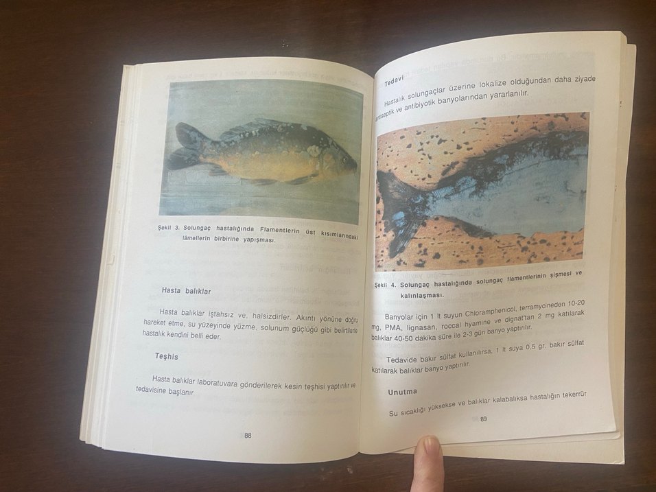 Yayçep Balık Yetiştiriciliği ve İçsu Araçları Kitabı - Görsel 5