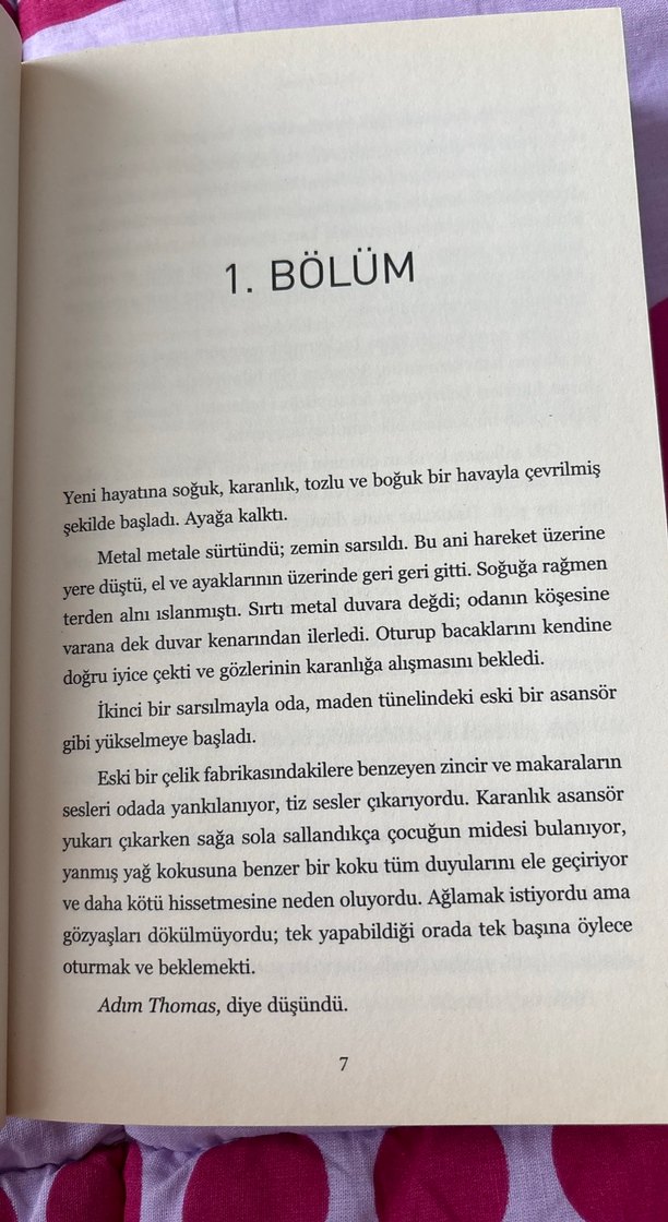 Labirent Ölümcül Kaçış - Görsel 4