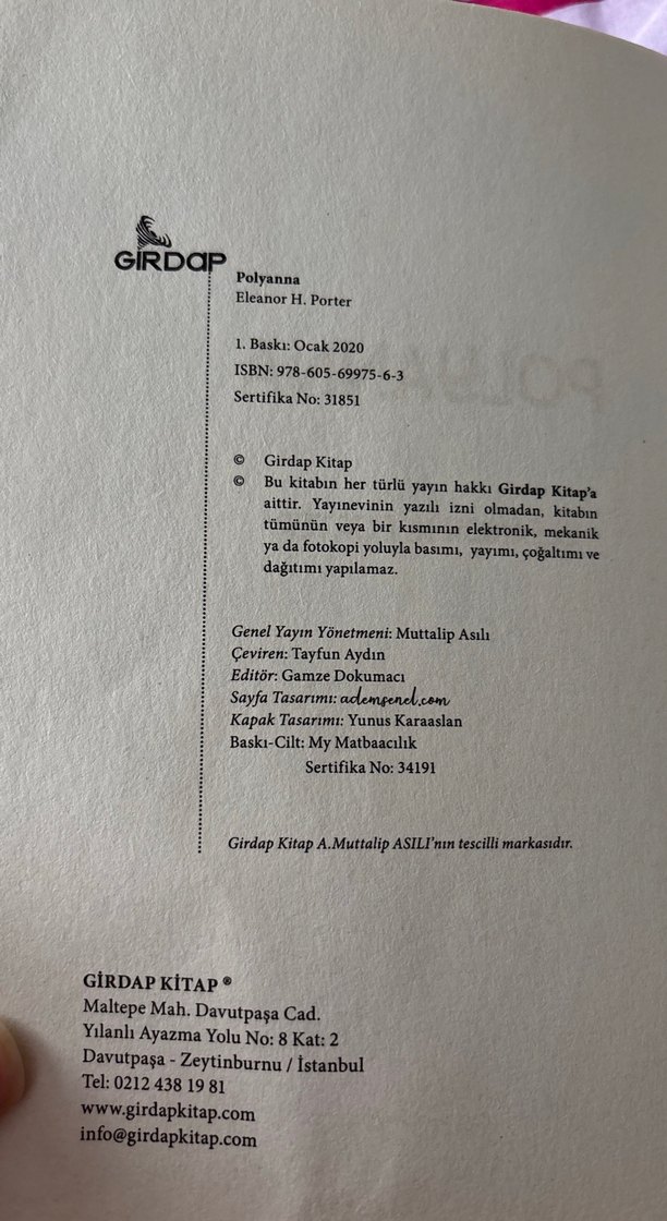 Pollyanna - Eleanor H. Porter - Görsel 2