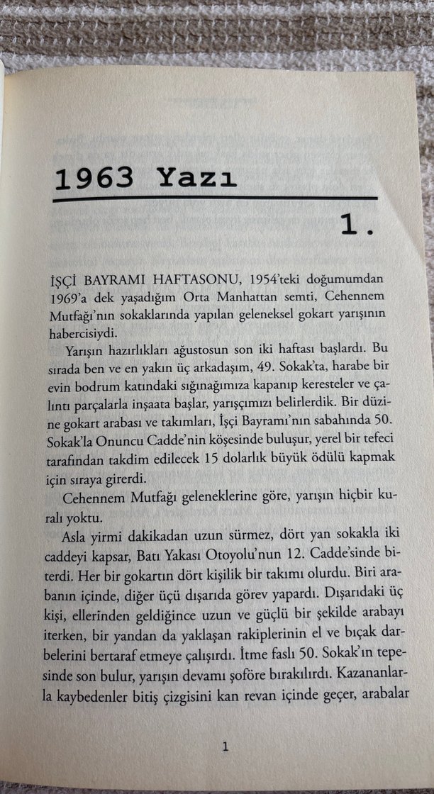 Suskunlar - Lorenzo Carcaterra - Görsel 5