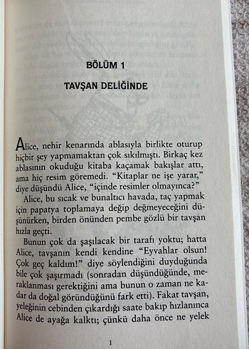 Alice Harikalar Diyarında - Kısaltılmış Metin - Görsel 4