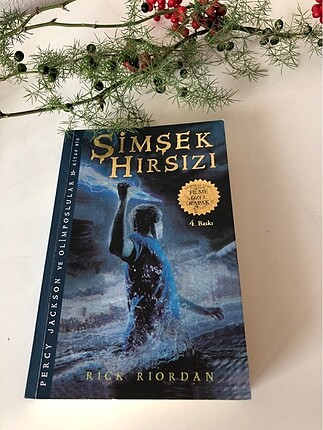 Şimşek Hırsızı