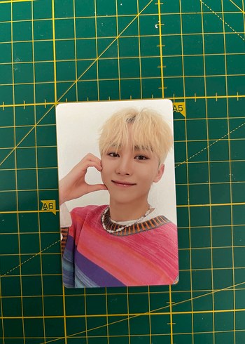 Walt Disney World Seventeen Seungkwan Photocard