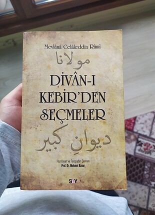 Mevlânâ Divan i Kebir