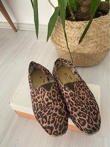 Leopar toms