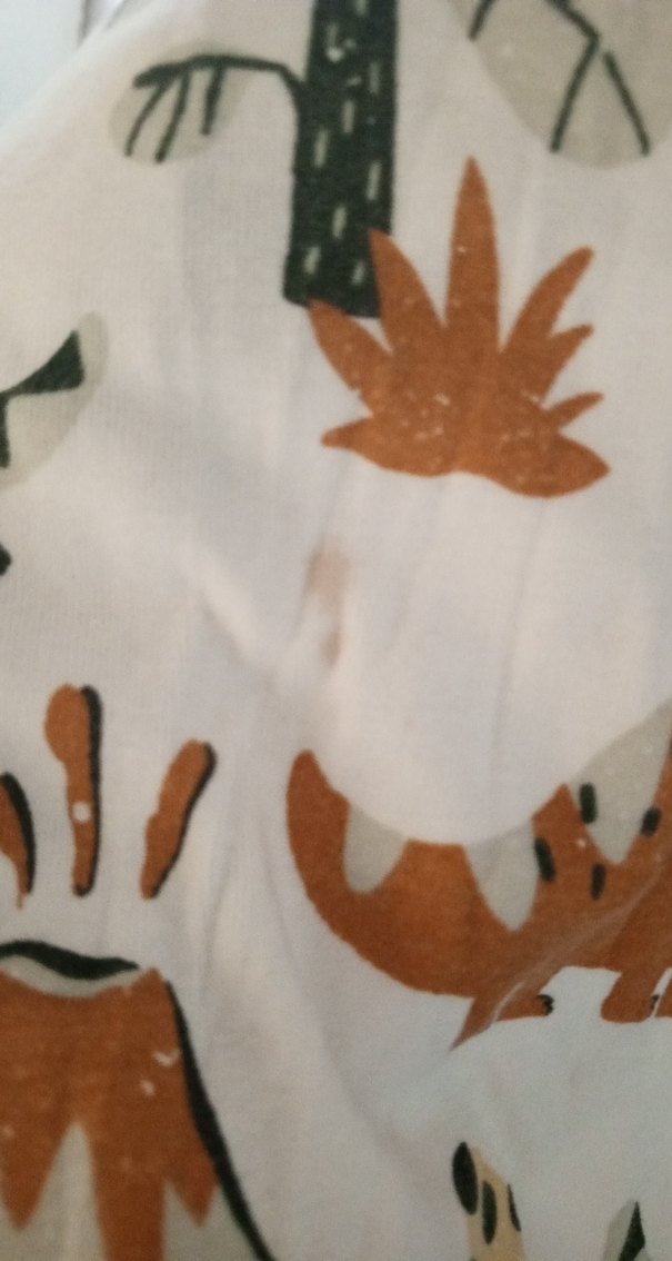 Uzun Kollu Dinozor Baskılı Bebek Tulum - Görsel 3