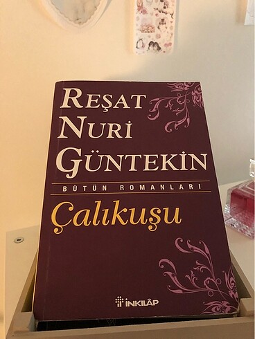 Reşat Nuri Güntekin Çalıkuşu kitap