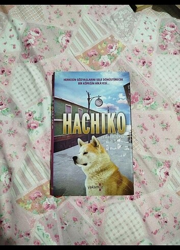  Hachiko 