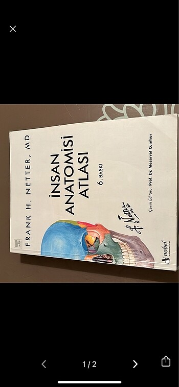 Netter anatomi atlası