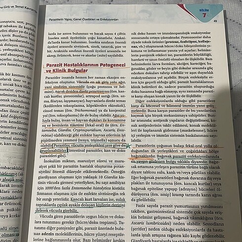 Beden Hemşirelik kitap