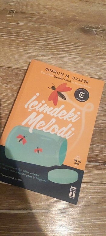 İçimizdeki Müzik ve İçimizdeki Melodi