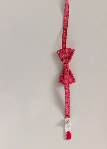 Kırmızı Desenli Çocuk Papyon cırtcırtlı - Görsel 3