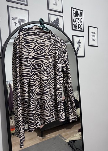 Suud Collection body