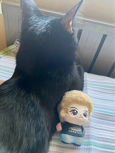 Peluş