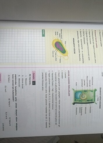  Beden test kitabı 