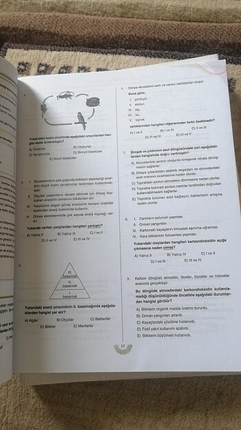  Beden Renk test kitabı 