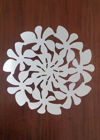 BEYAZ MEYVELİK - Görsel 4