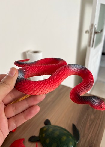 Beden kırmızı Renk Dekoratif hayvanlar ve ahşap kamyon