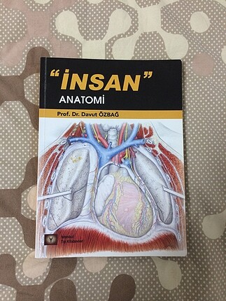 İnsan anatomi