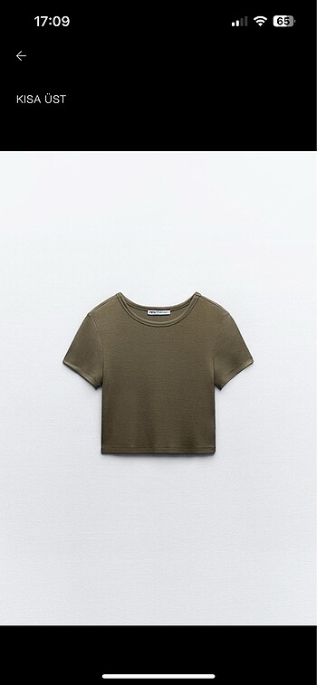 Zara Crop