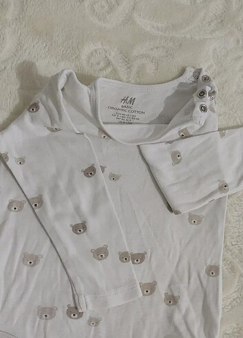 Uzun kollu zıbın  - Görsel 2