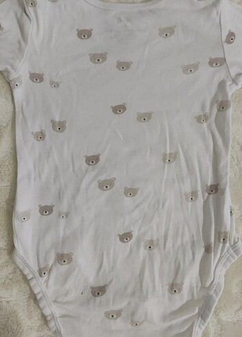 Uzun kollu zıbın  - Görsel 4