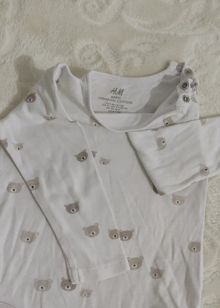 Uzun kollu zıbın  - Görsel 2