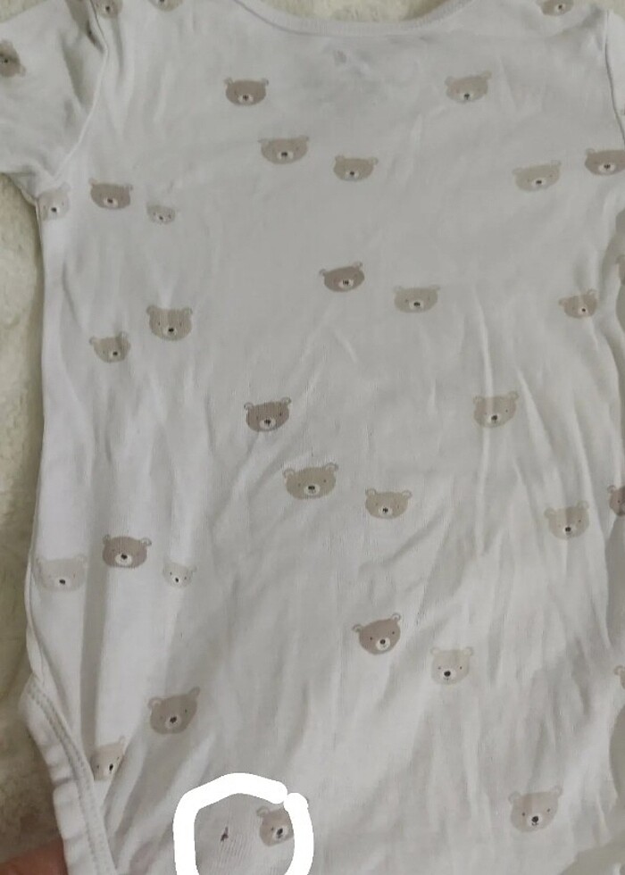 Uzun kollu zıbın  - Görsel 3