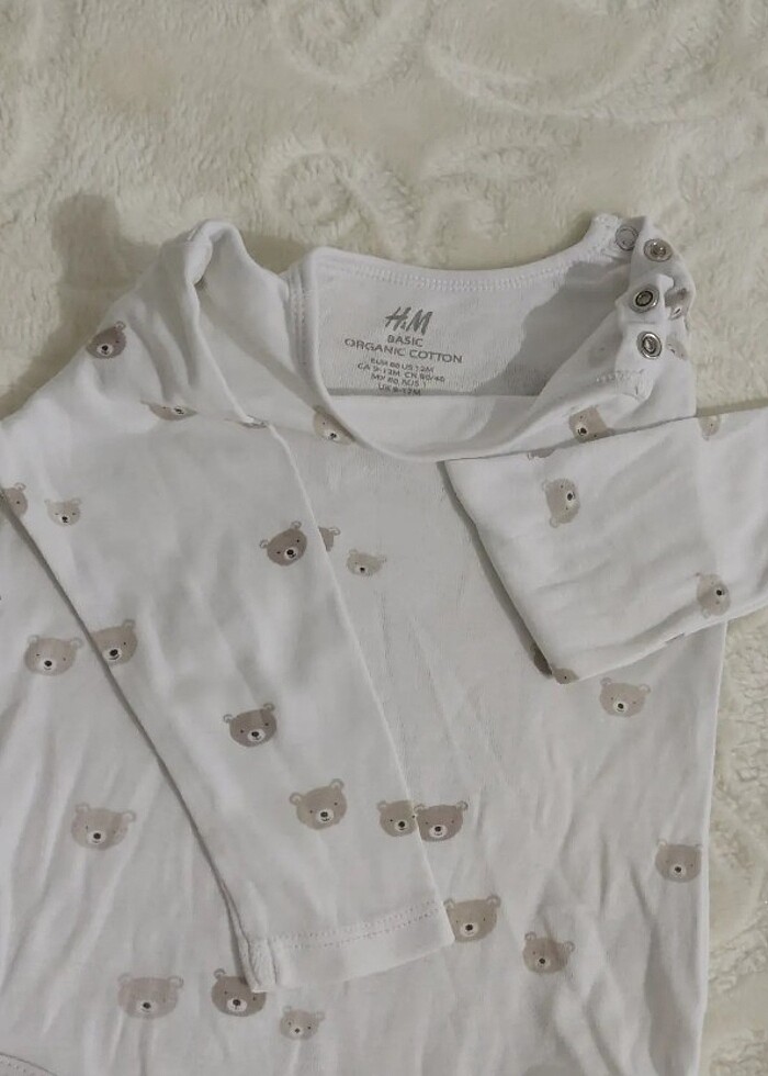 Uzun kollu zıbın  - Görsel 2