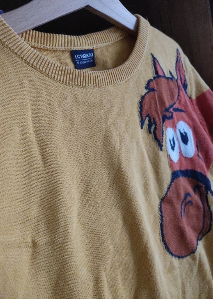 LC Waikiki 10-11 Yaş İnce Kazak  - Görsel 3