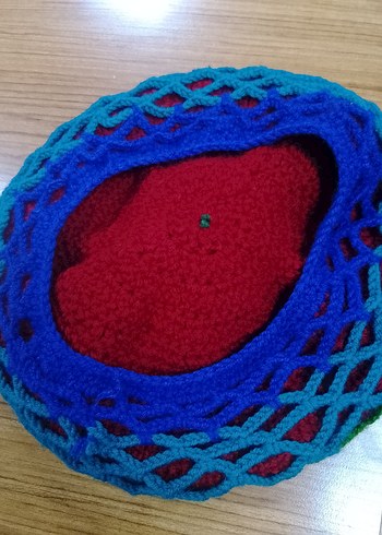 Renkli Örgü Kadın Bere(el örgüsü) - Görsel 2