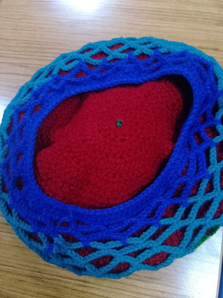 Renkli Örgü Kadın Bere(el örgüsü) - Görsel 2