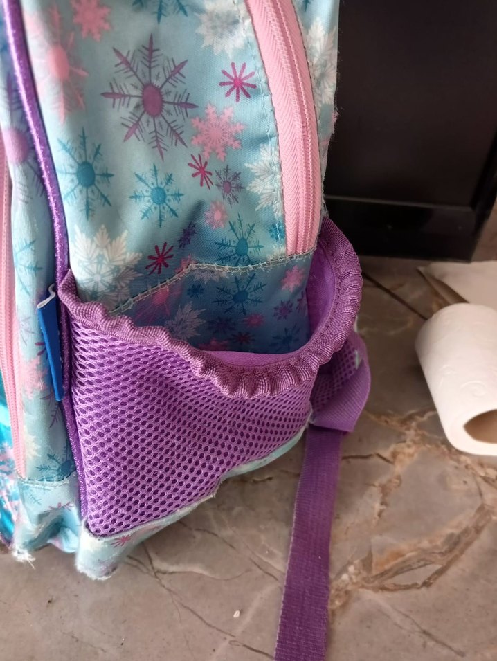 Pastel Renkli Frozen Elsa Okul Çantası - Görsel 4