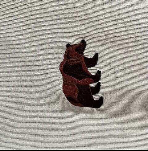 xs Beden WWF Hoodie