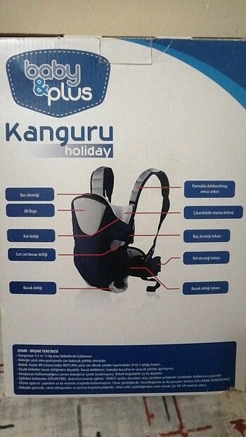 Diğer Anakucağı kanguru