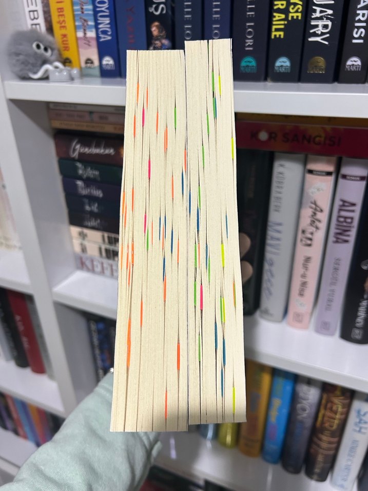 Ateş - Filiz Puluç seri - Görsel 2