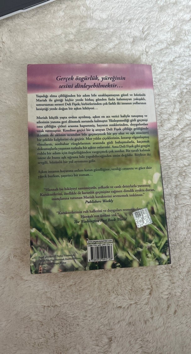 Eğer İnanırsan - Kristin Hannah - Görsel 3