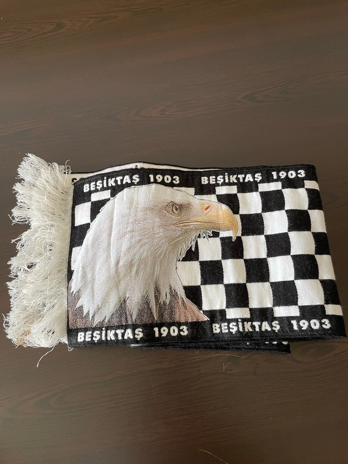 Beşiktaş Uzun Desenli Erkek Atkı - Görsel 3