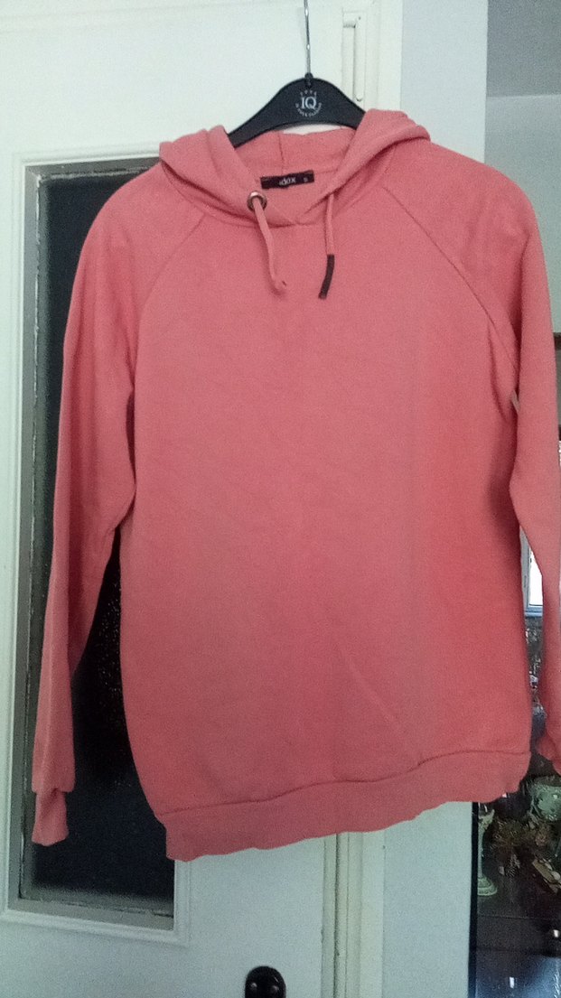 Kadın Pembe Kapüşonlu Sweatshirt - Görsel 3