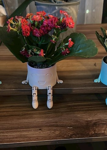 GÜLÜMSEYEN VAZO SAKSI - Görsel 2