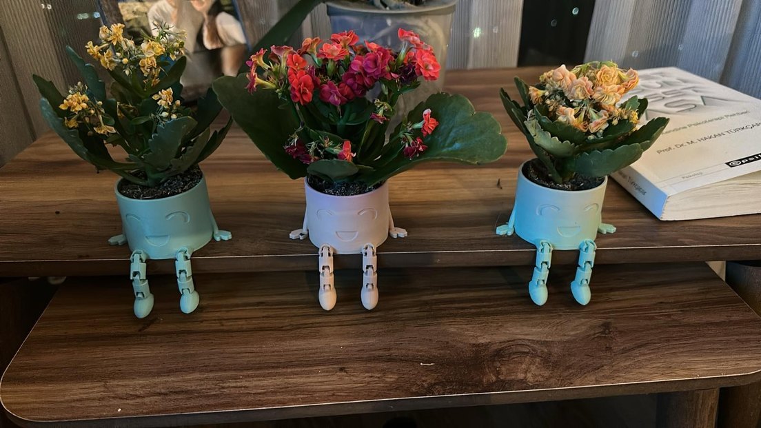 GÜLÜMSEYEN VAZO SAKSI - Görsel 2