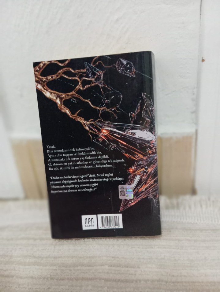 Hazal Aba - Kırılma Romanı - Görsel 2